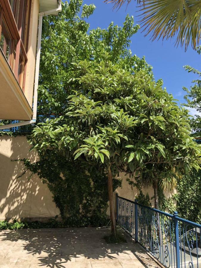 Hotel Vaki Τυφλίδα Εξωτερικό φωτογραφία