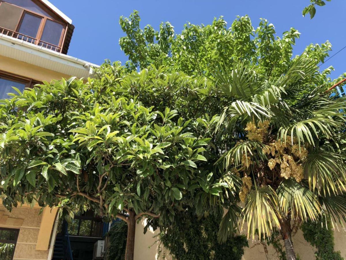 Hotel Vaki Τυφλίδα Εξωτερικό φωτογραφία